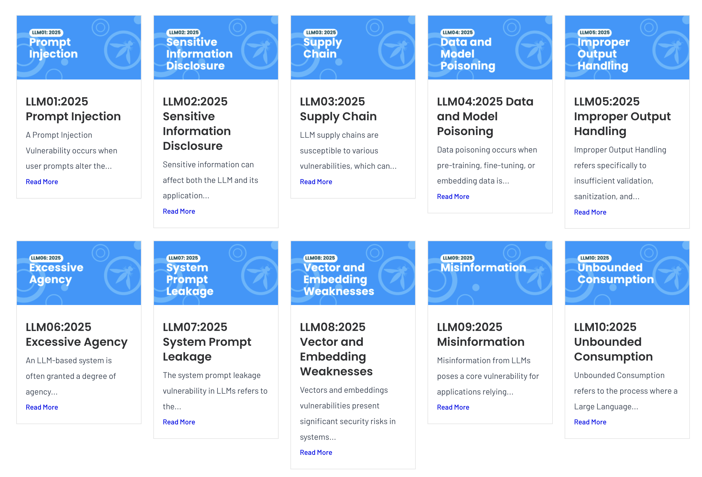 OWASP Top 10 for LLM Applications 2025
